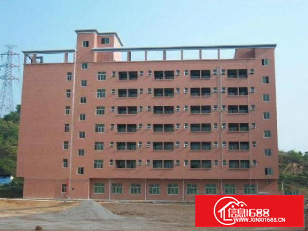 五联碧湖大道边上4楼、5楼各3000平米对外招租