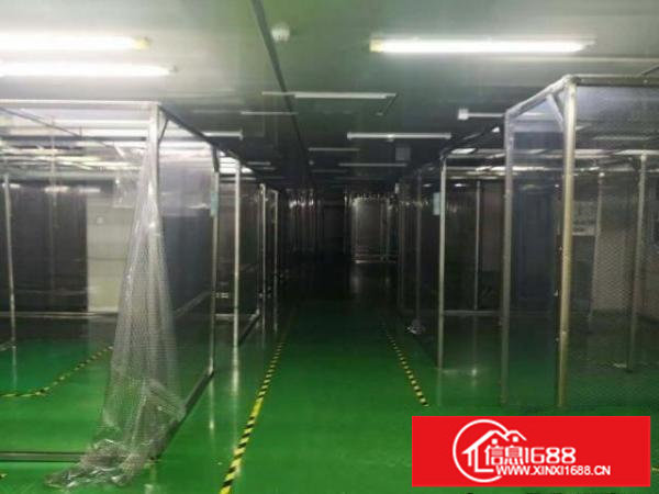 新桥新出楼上900平方厂房。带豪华装修办公室，全部精装