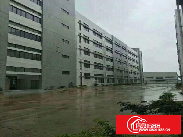 平湖华南城西门带装修2楼1150平方厂房出租