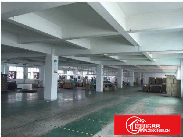横岗嘉华路一楼2000平方标准厂房带装修特价