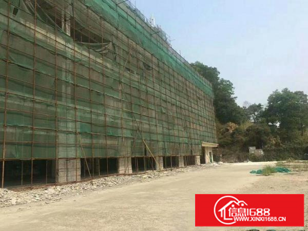 坂田街道独院出租适合医院学校酒店4S店约租金