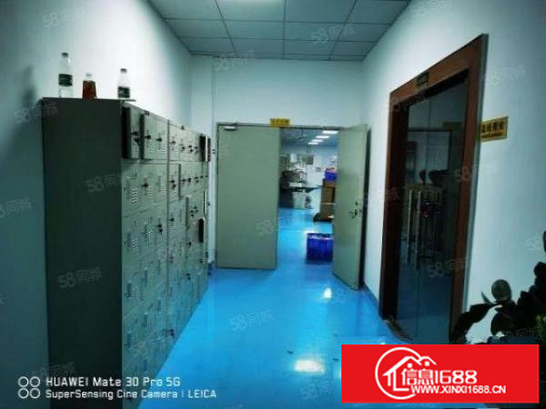 光明田寮新出6楼500平豪华装修车间天花吊顶全新地坪漆