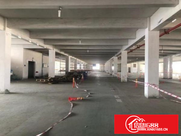 原房东没公摊形象好厂房出租