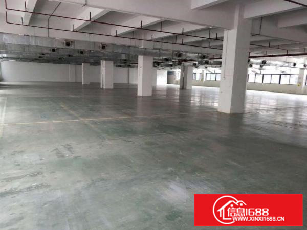 价格便宜带装修消防喷淋凤岗五联楼上厂房出租2000平方