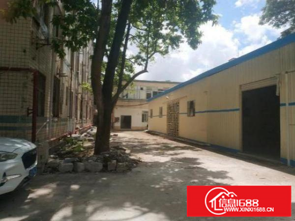 观澜梅观高速出口一公里处独门独院1-3层厂房8200平出租