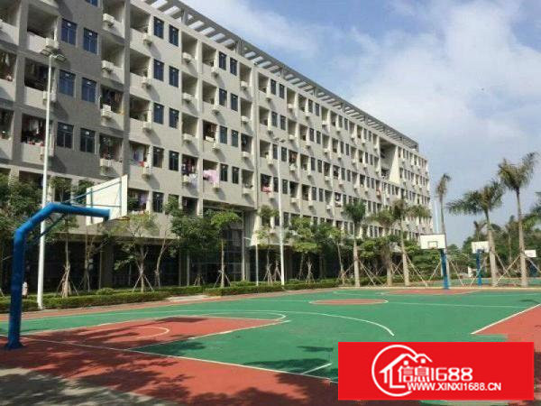 坪山6万平米红本独院厂房招租适合医院学校等各类行业