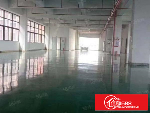 凤岗新出楼上1200平，现成装修办公室，水电齐全，好招工，