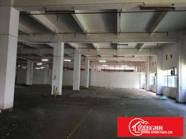 实力房东，业主！里水500;650;850;1千平方一楼厂房