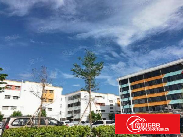 石岩塘头大道新出楼上520平精装修无转让费厂房出租