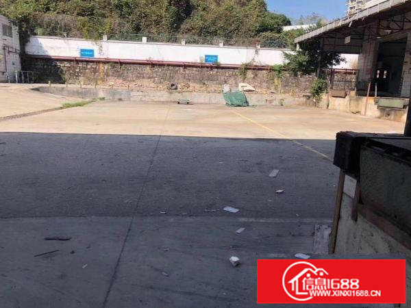 坂田五和大道物流园40000平方出租，大小可分