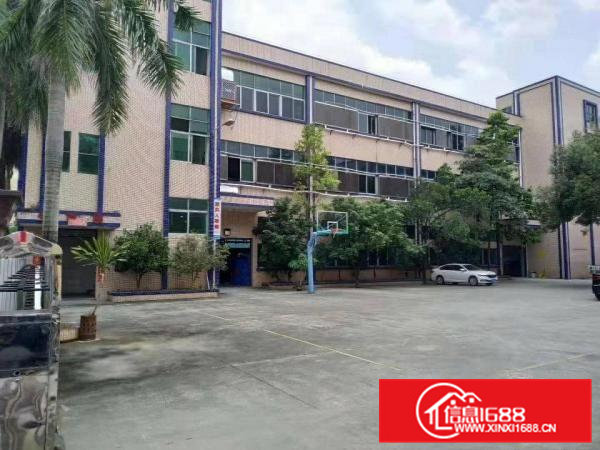 原房东独院厂房低价出租