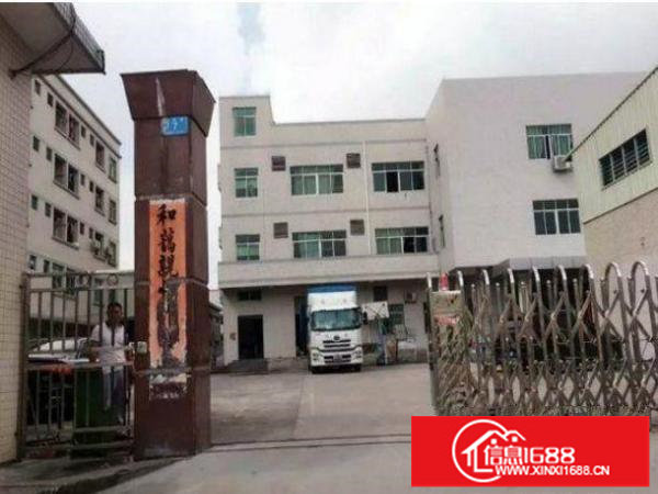 坪地坪西新出楼上1100平无公摊实际面积出租带装修