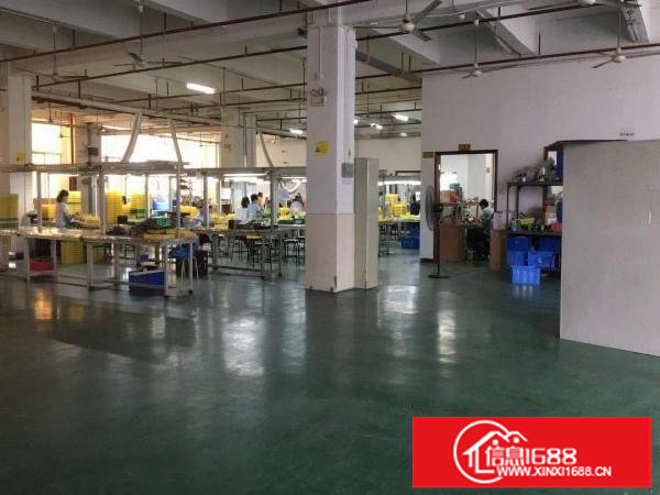 出租龙岗区龙岗新生低山厂房分租消防安检全过