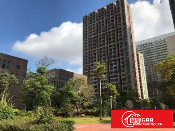 今日好房推荐，采光一级棒