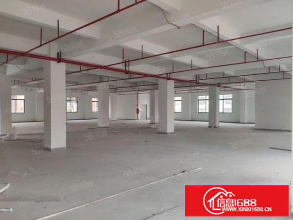 横沥镇原房东全新标准厂房出租，红本厂房，工业用地可办环评