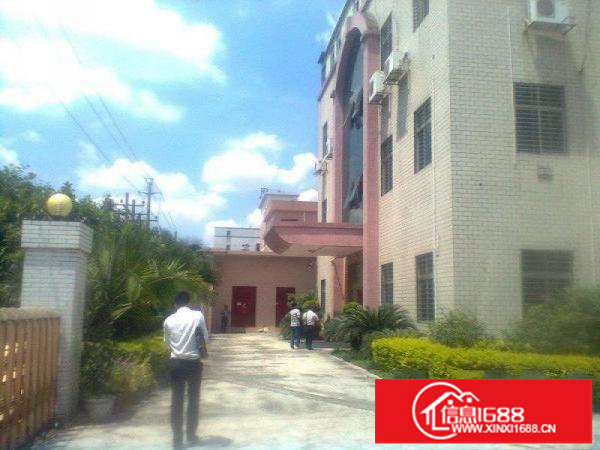 平湖独院高品质环境好3800平米厂房配有电梯写字楼