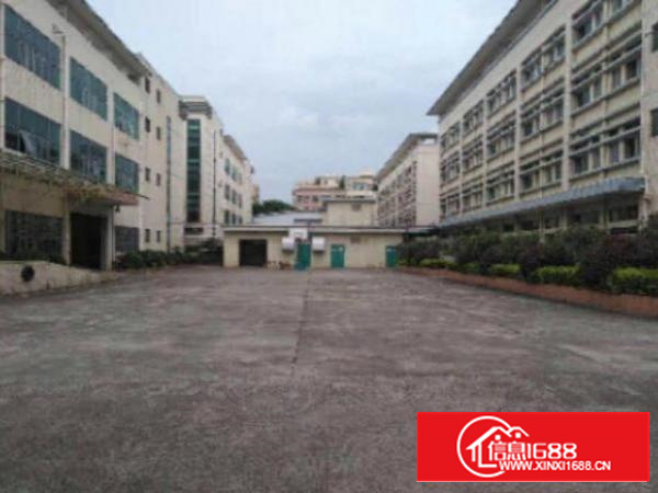 万江简沙洲标准厂房楼上三楼2000平方带消防喷淋出租