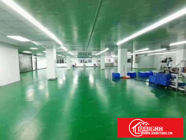 清溪谢坑楼上原房东厂房出租1000平空地大