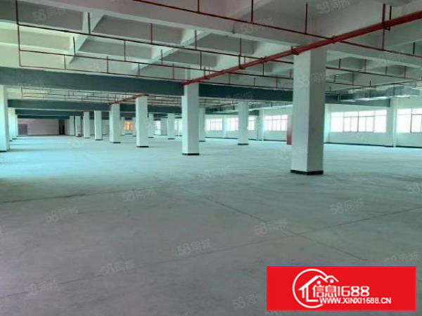 常平带红本重工业厂房200平方起出租，上市公司外资企业福利