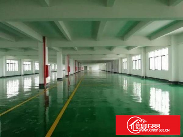 伦教新出标准厂房2000方、形象好、可分租、