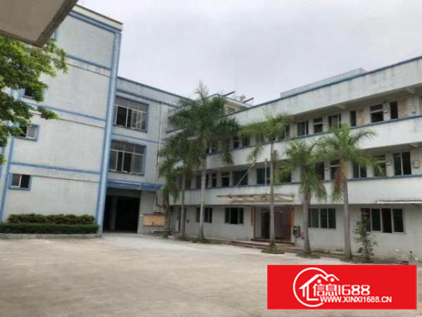 万江标准一楼或二楼2000平方出租带现成装修办公室