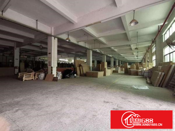 原房东国有证消防证独院厂房出租8000平方