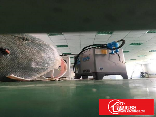 白石新出楼上650平米带地坪漆办公室招租