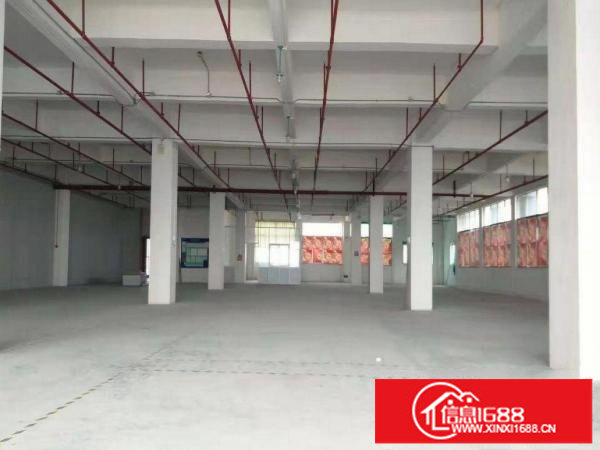 新光村一楼厂房700方低价出租，配电大