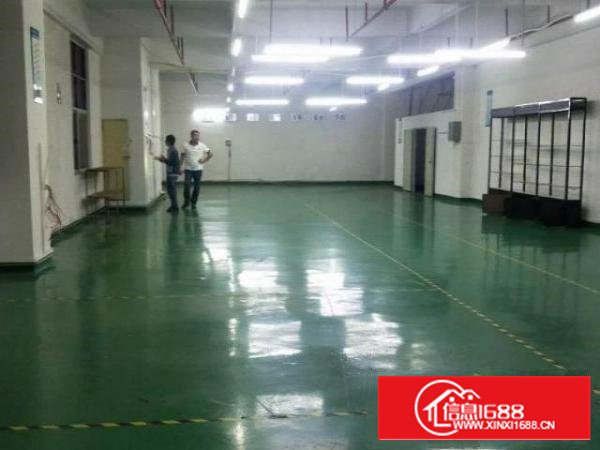 沙井个人转租1000平厂房厂房1000平米