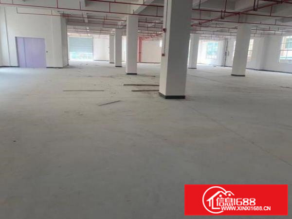 凤岗全新厂房3800平独院100平起分租