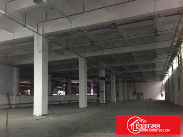 还珠沥新出标准楼上850平厂房招租