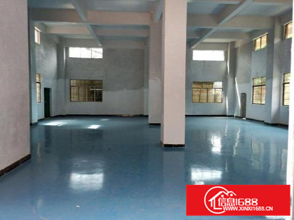 出租龙岗区新生村一楼厂房312平米