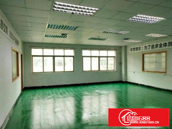 塘厦龙背岭1000平带吊顶装修标准厂房，实际面积