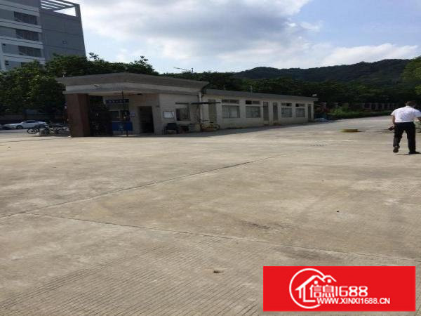 松岗塘下涌新出一楼3000平米精装厂房出租大小可分