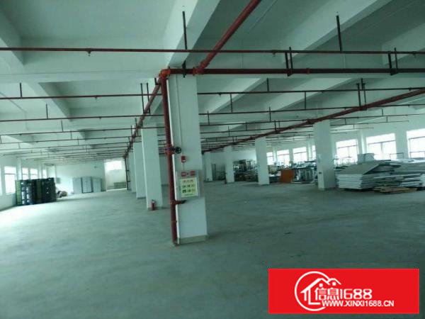 东莞寮步新出原房东独院标准厂房4500平方出租