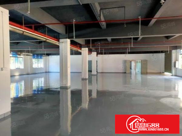 横沥镇村尾村工业区新出二楼整层带现成装修厂房