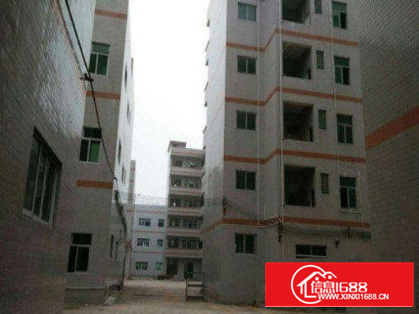 万江周边流涌尾1出租5001500、2000平方出租