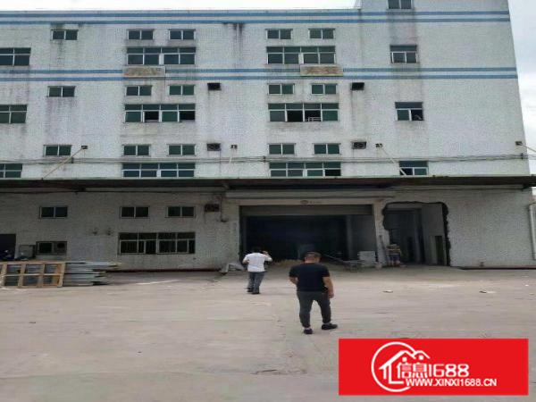 泰美工业园19900平米证件齐全配电2000KVA可分租