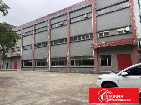 惠东白花标准独院三层6000平行业不限电按需可分租