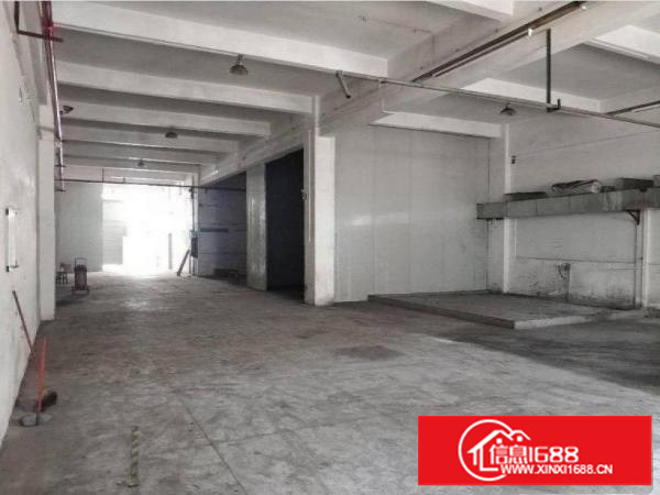 出租龙岗区中心城工业区新出一楼300平，带办公室，水电到位