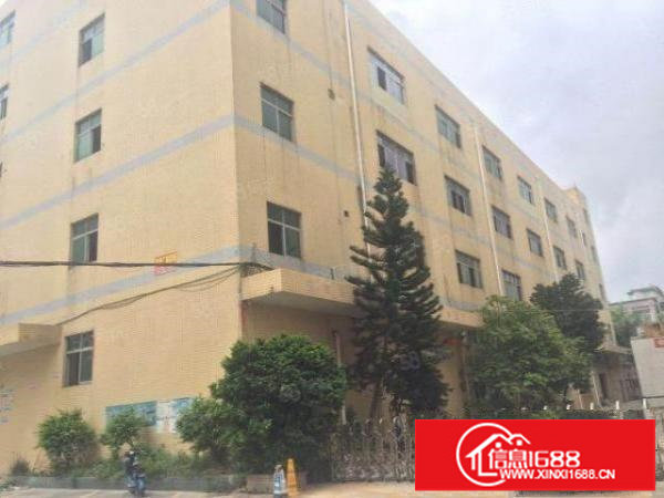 松岗松福大道边碧头地铁口原房东红本独院厂房6400平方