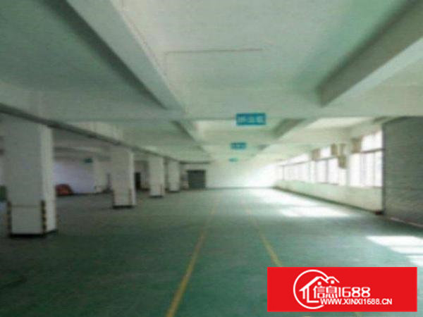 高埗万江标准一楼厂房出租5001500平方出租适合机械、五