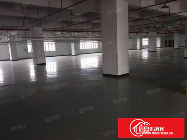 虎门大宁新出独院厂房13800平可办环评低价厂房招租