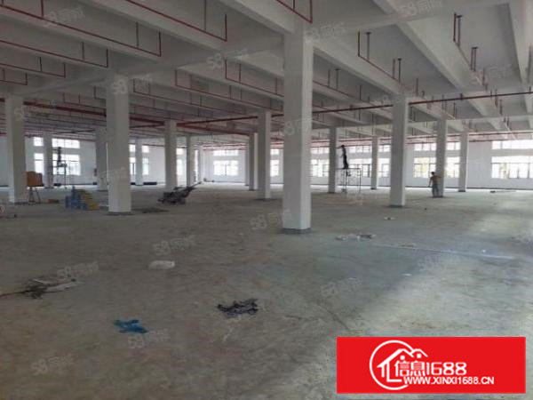 常平镇独门独院国有证标准厂房出租