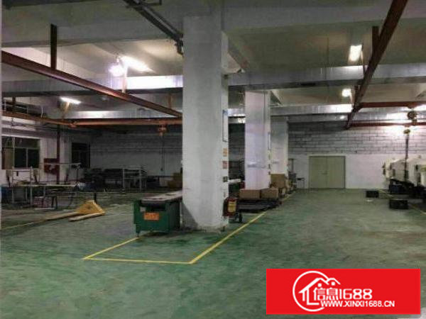 坂田1200平滴水八米原房东直租！