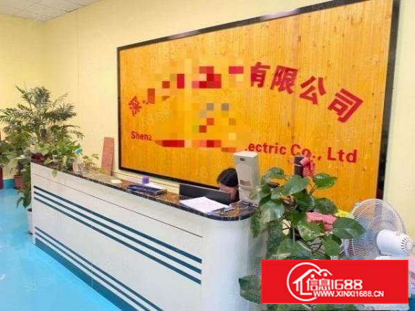 石龙仔原房东2楼1400平厂房招租，价格便宜