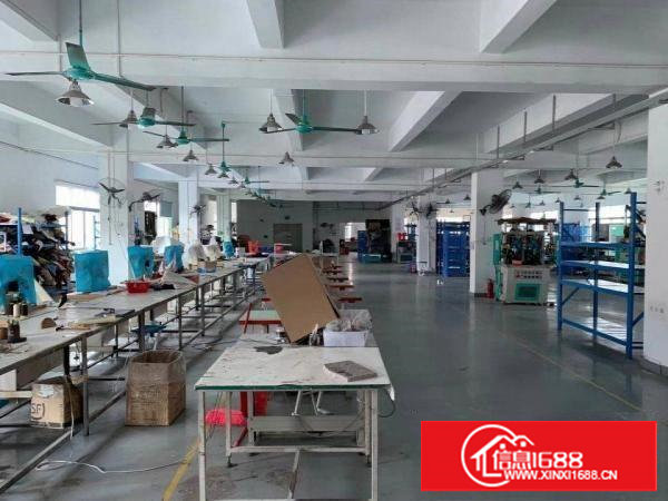 塘厦镇新出原房东楼上一整层带精装修地坪漆办公室厂房出租