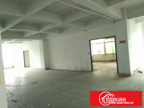 坪山马峦新出一楼标准345平有消防厂房出租