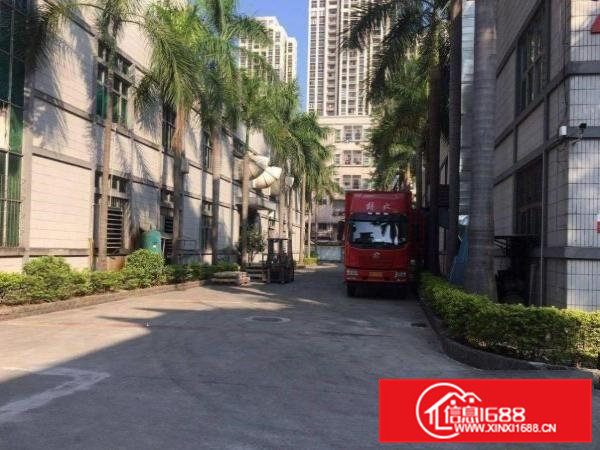 清溪荔横附近新出经典小独院4200平米，带装修水电