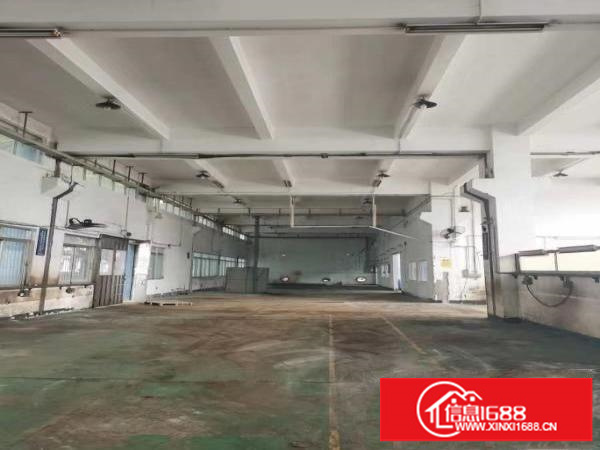 坂田五和一二楼厂房出租200平500平1000平可分租